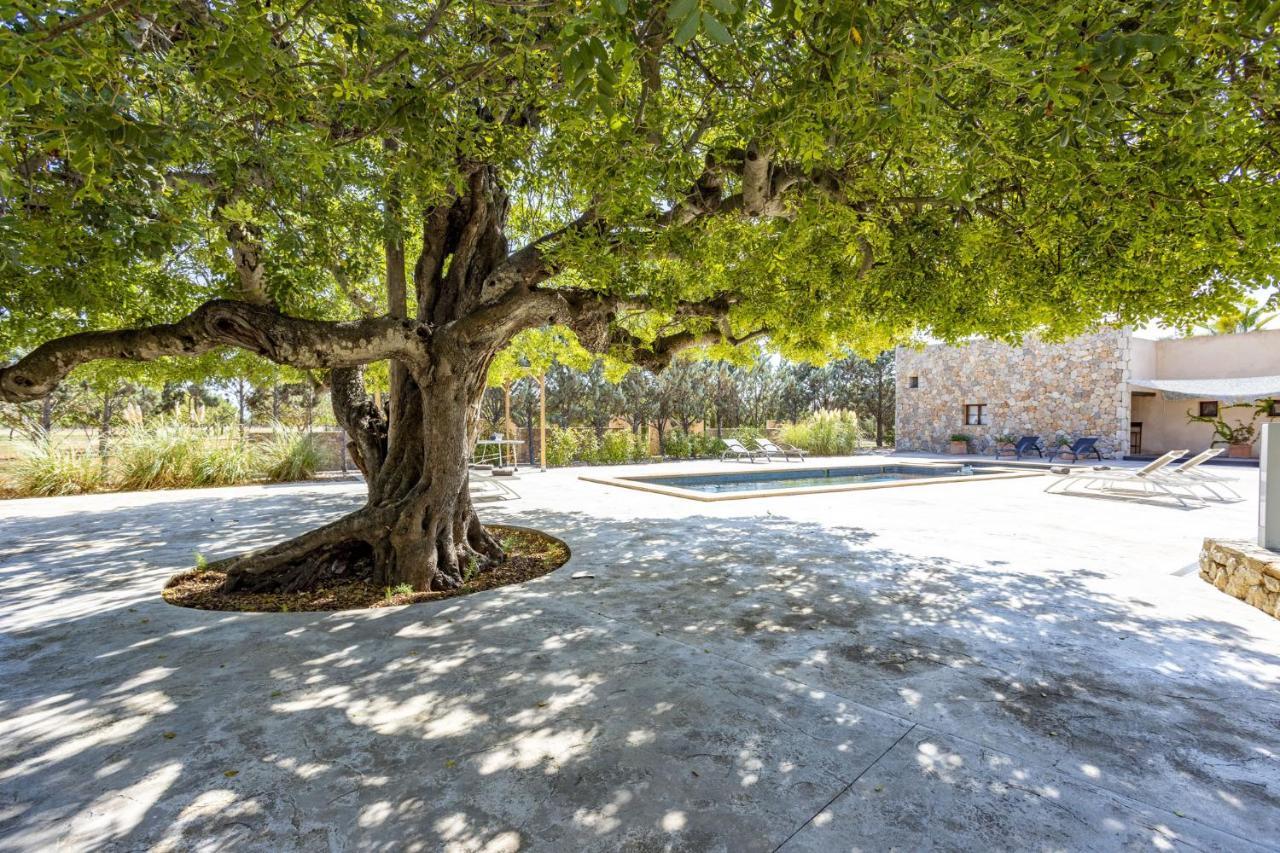Villa Es Triquet Family Бинисалем Екстериор снимка