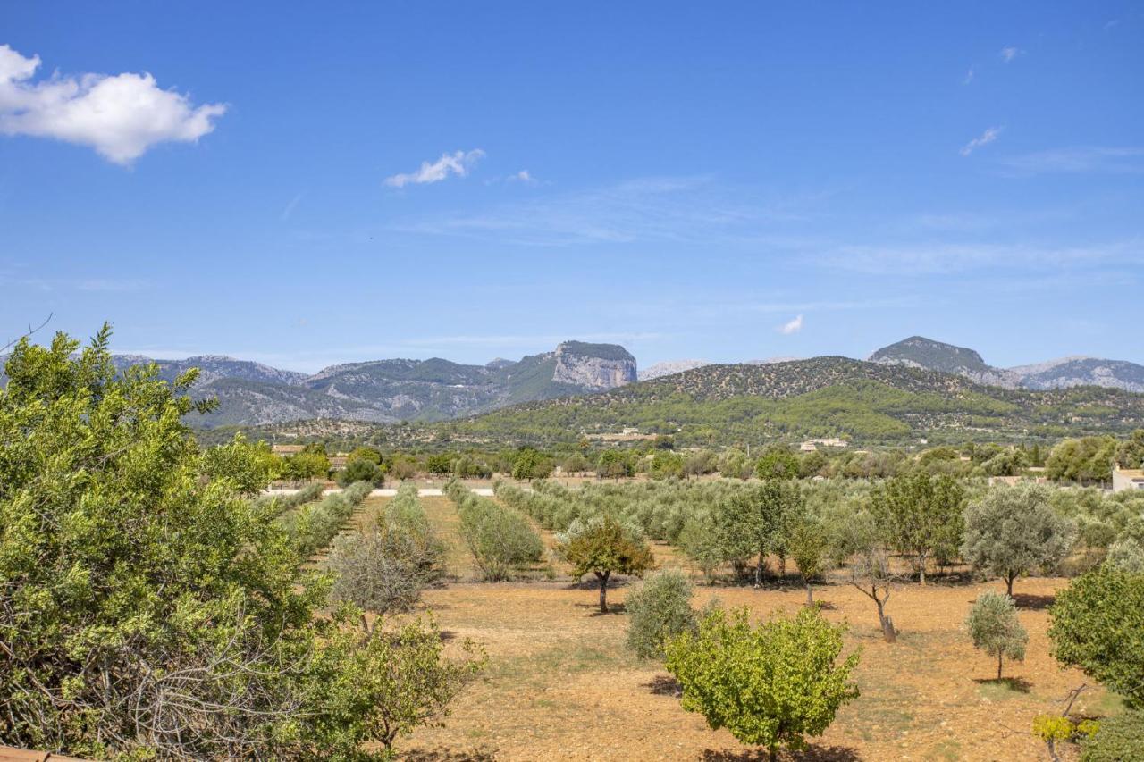 Villa Es Triquet Family Бинисалем Екстериор снимка